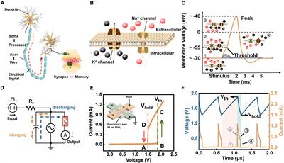 Engineering Spiking Neurons Using Threshold Switching Devices for High-Efficient Neuromorphic Computing